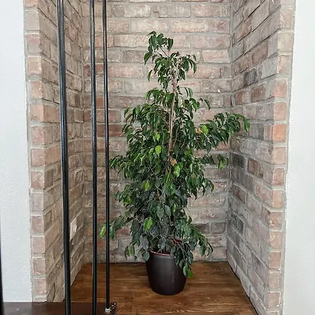 Villa Katie's Lemon Tree House Volos