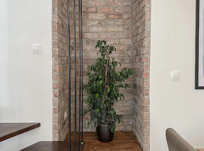 Katie's Lemon Tree House *