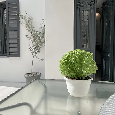 Katie's Lemon Tree House Vilă Volos