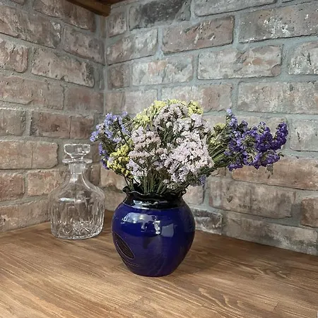 Katie's Lemon Tree House