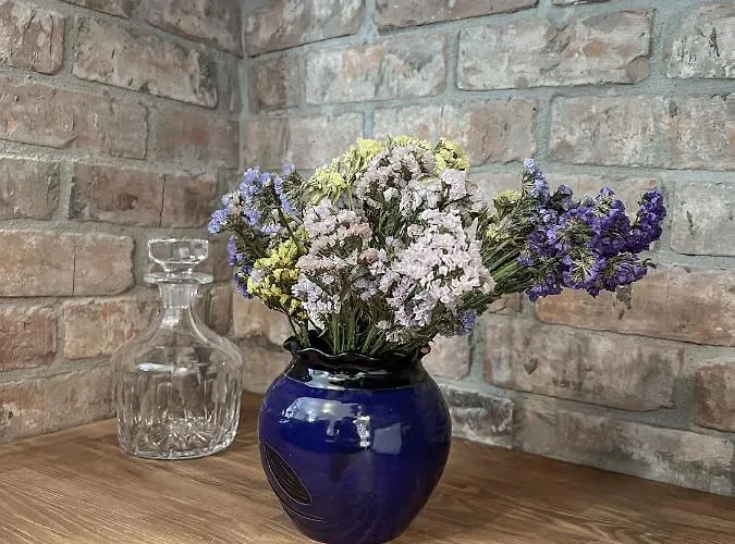 Katie's Lemon Tree House