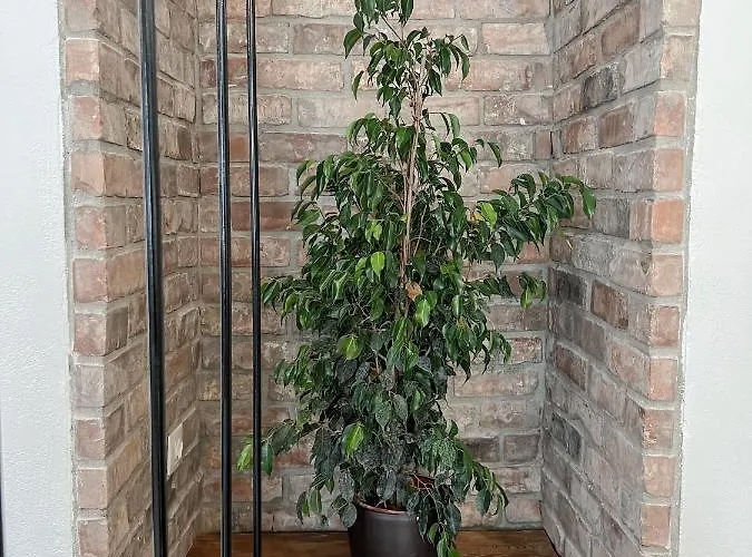 Βίλα Katie's Lemon Tree House Βόλος